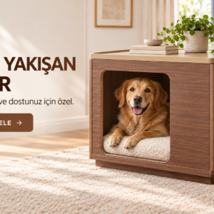 Modern Ahşap Köpek Kulübesi